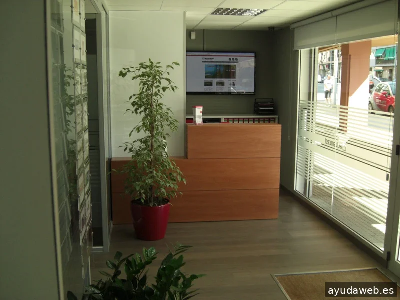 Arrova.cat Disseny Web Granollers