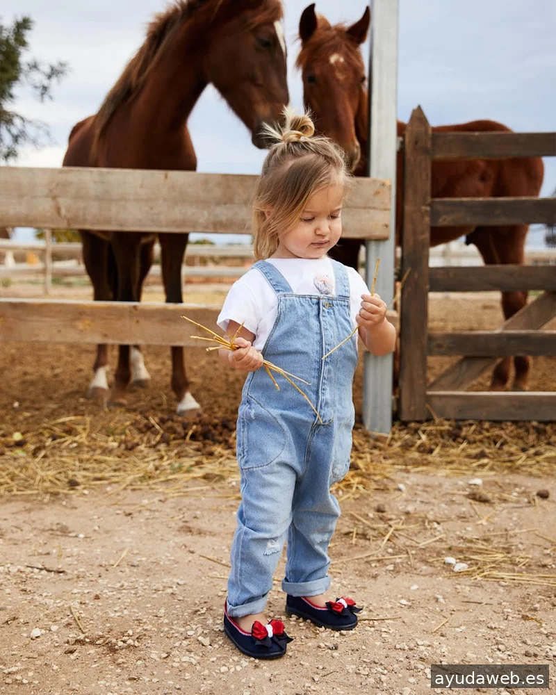 Savour Digital Agency