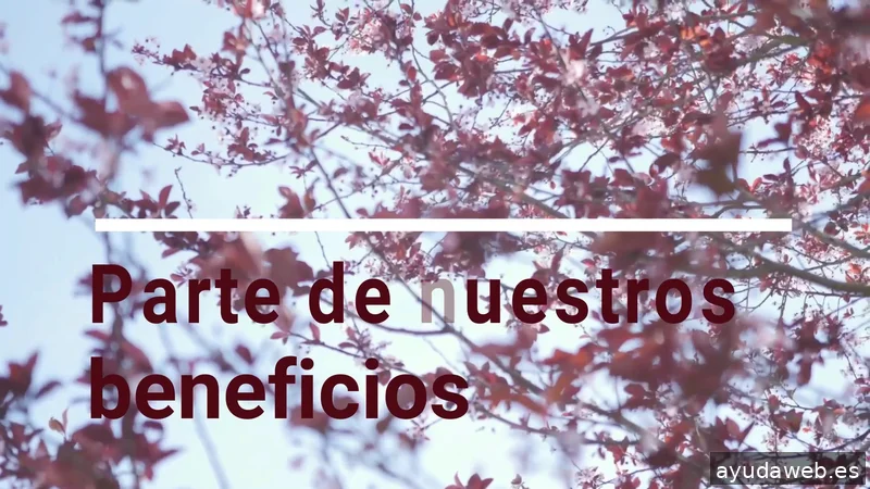 MCR Marketing con Responsabilidad