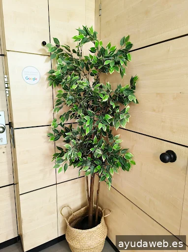 La Última Agencia - Agencia de Marketing, Diseño Gráfico y Desarrollo Web en Barcelona