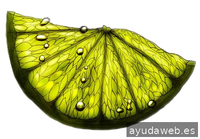 TomyFlow Marketing Digital y Publicidad