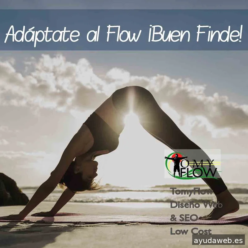 TomyFlow Marketing Digital y Publicidad