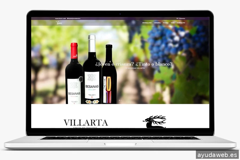 Diseño web y marketing on line