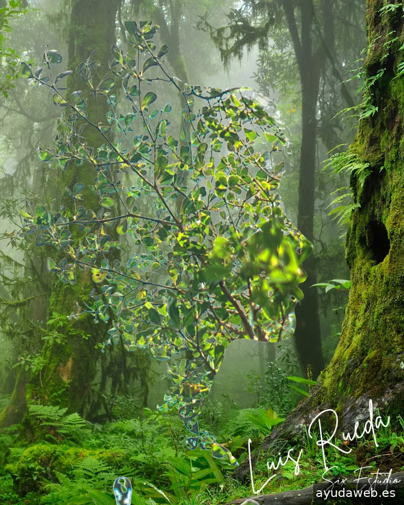 Six Estudio | Diseño web Barcelona