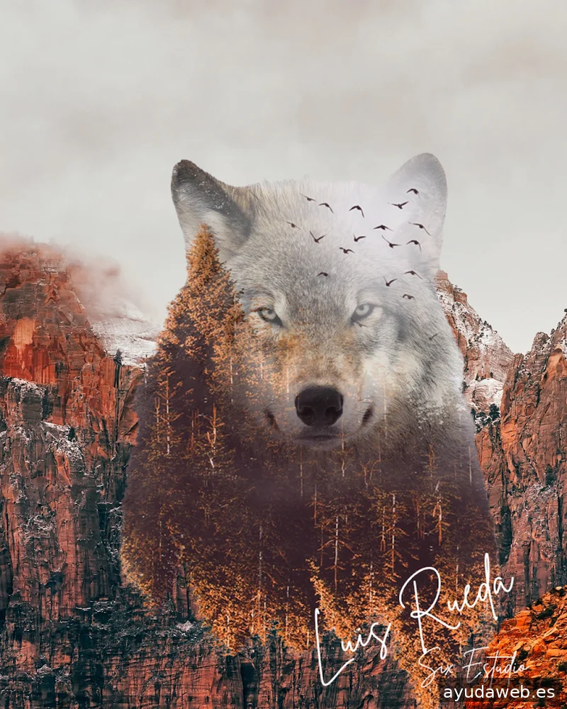 Six Estudio | Diseño web Barcelona