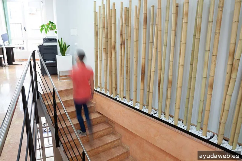 Floramedia España y Portugal