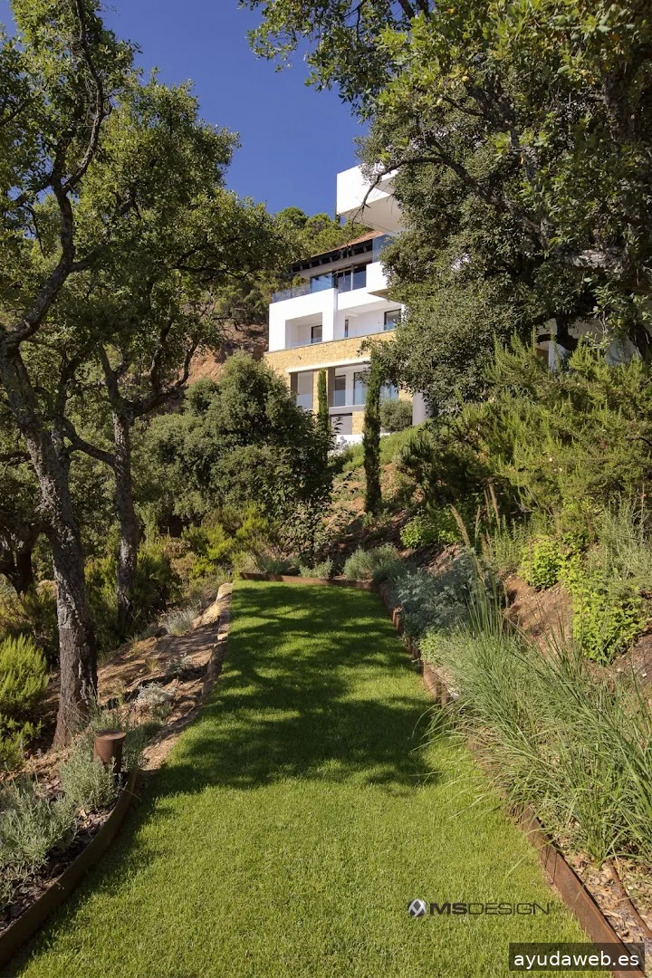 TRASSART – Strategic Consultants