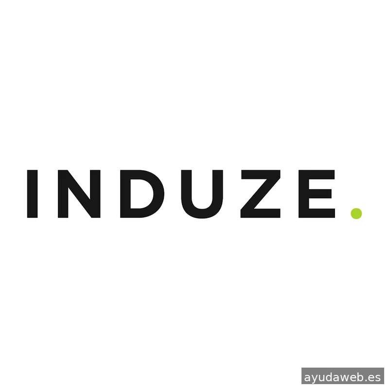 Induze Agencia de Publicidad