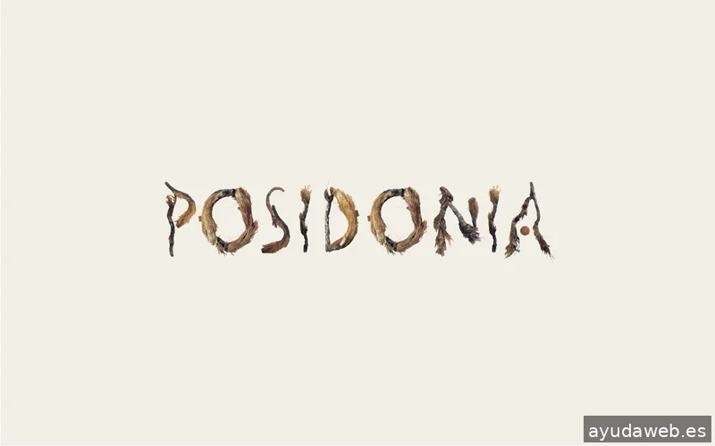 Posidonia Design