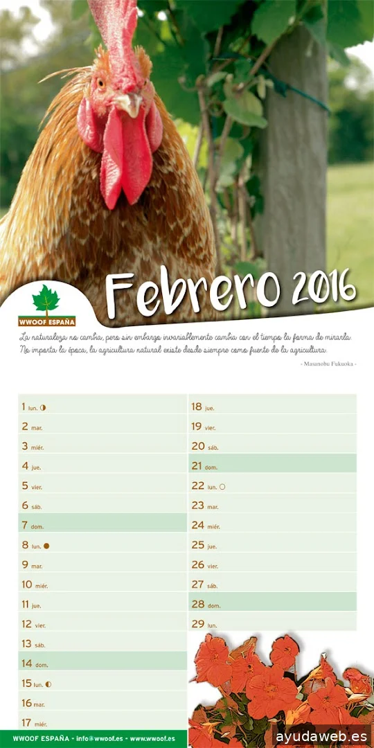 Lastresw Proyectos Digitales y Creación de Marca