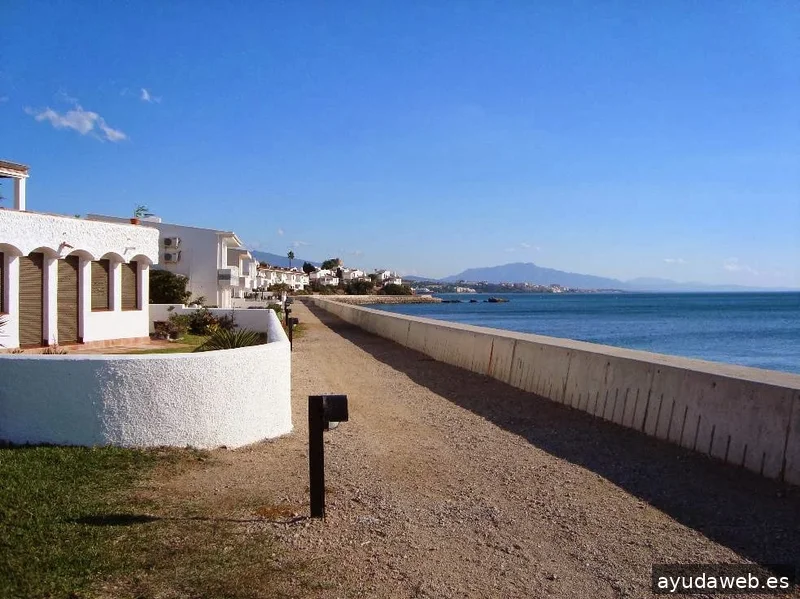 Shake2Get! Internet & Business Consulting