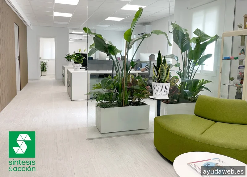 Síntesis y Acción, S.L.