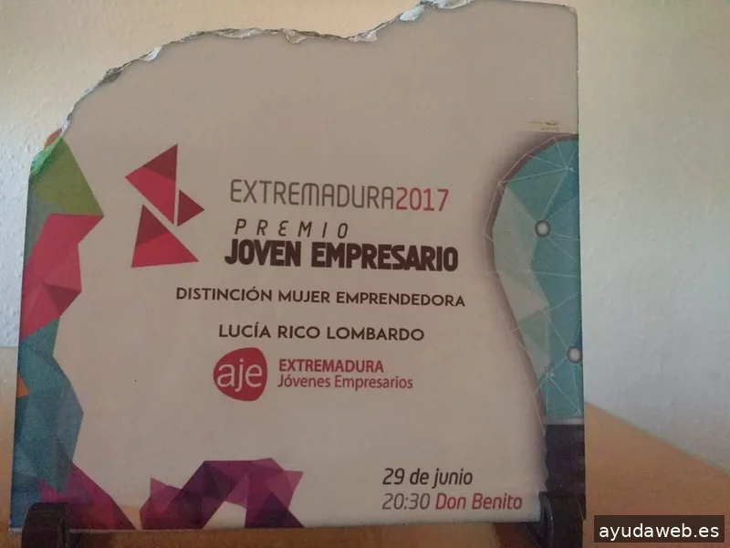 Lucía y el SEO: Dirección estratégica en el ecosistema de búsqueda