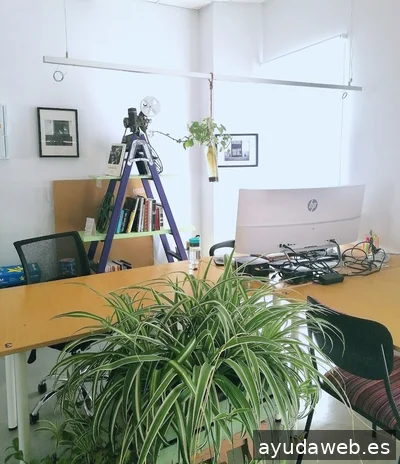 SciArt Agency