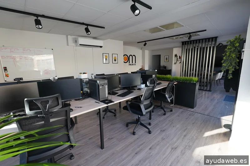 IPM PROJECTS | Marketing Digital y Desarrollo Web