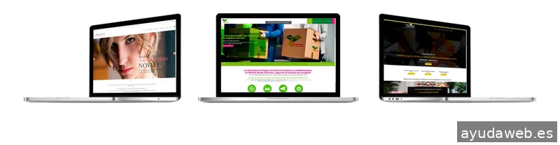 Webvende: Web Seo Madrid