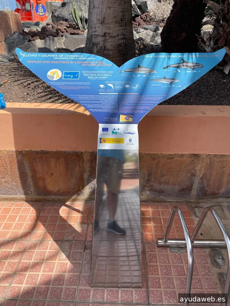 Imagen Tenerife