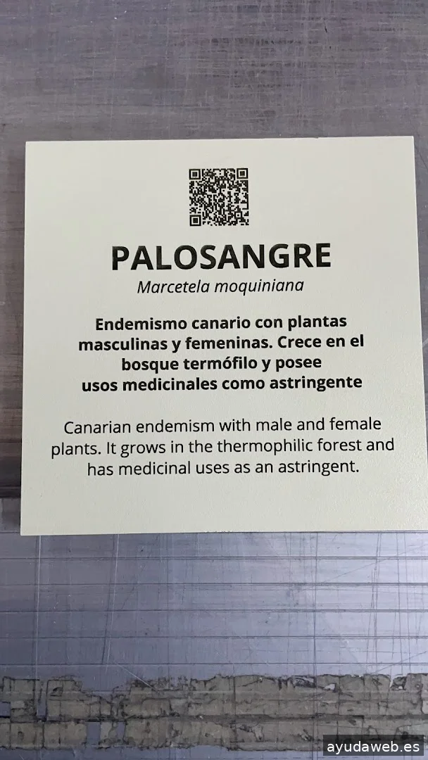 Imagen Tenerife