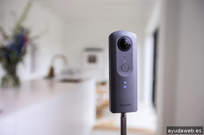 VirtualCat 360 graus