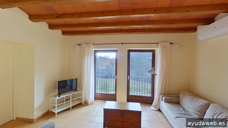 VirtualCat 360 graus