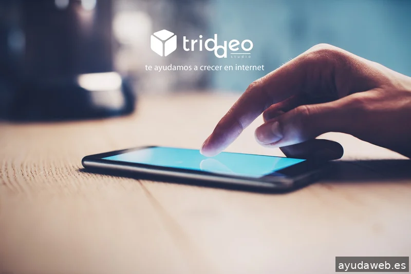 Agencia SEO SEM Triddeo