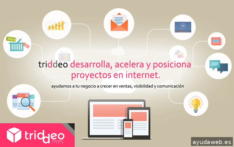 Agencia SEO SEM Triddeo