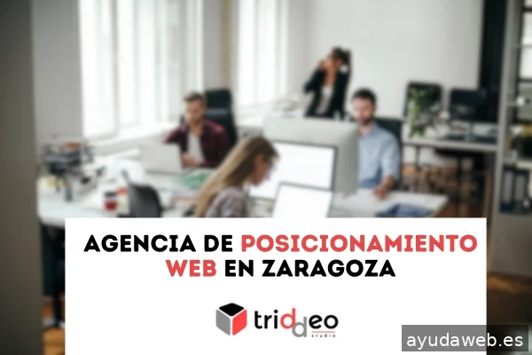 Agencia SEO SEM Triddeo