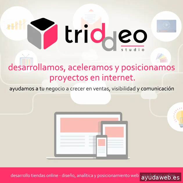 Agencia SEO SEM Triddeo