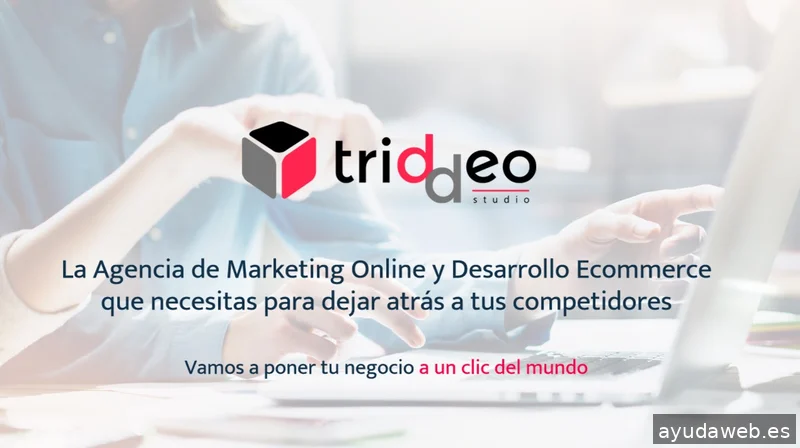 Agencia SEO SEM Triddeo