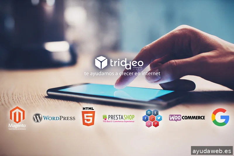 Agencia SEO SEM Triddeo