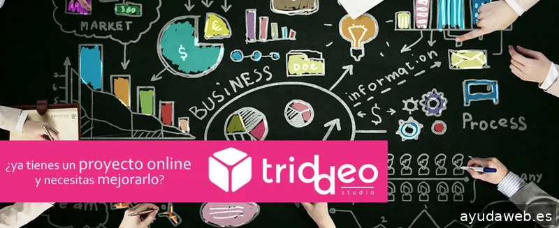 Agencia SEO SEM Triddeo