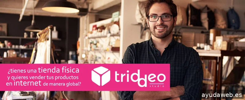 Agencia SEO SEM Triddeo