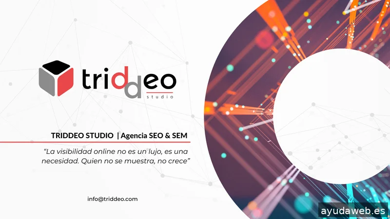 Agencia SEO SEM Triddeo