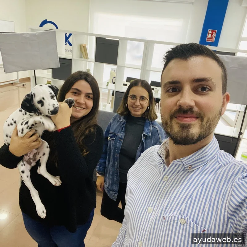 MDK/ActualizateStudio