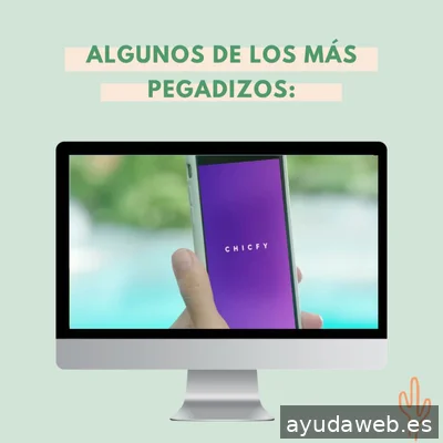 Saguaro Agencia de Marketing