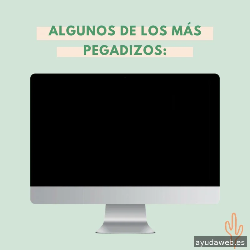 Saguaro Agencia de Marketing