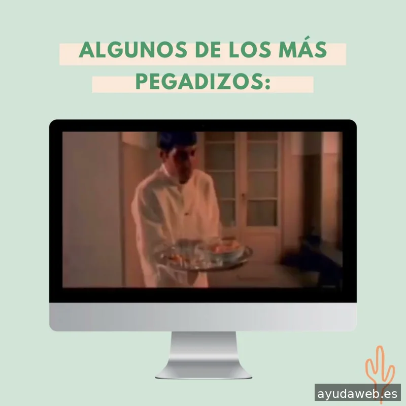 Saguaro Agencia de Marketing