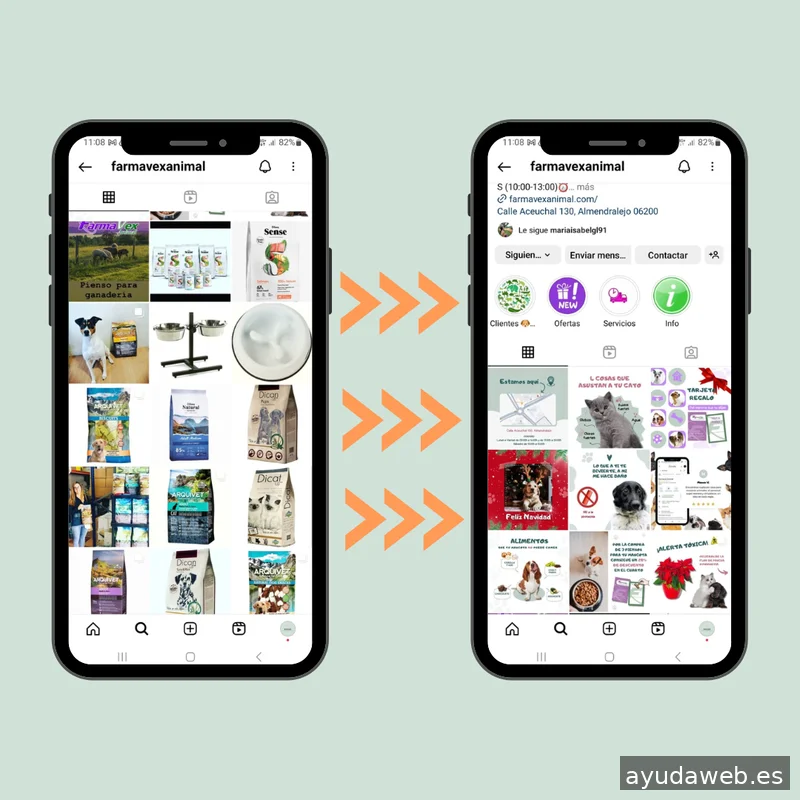 Saguaro Agencia de Marketing