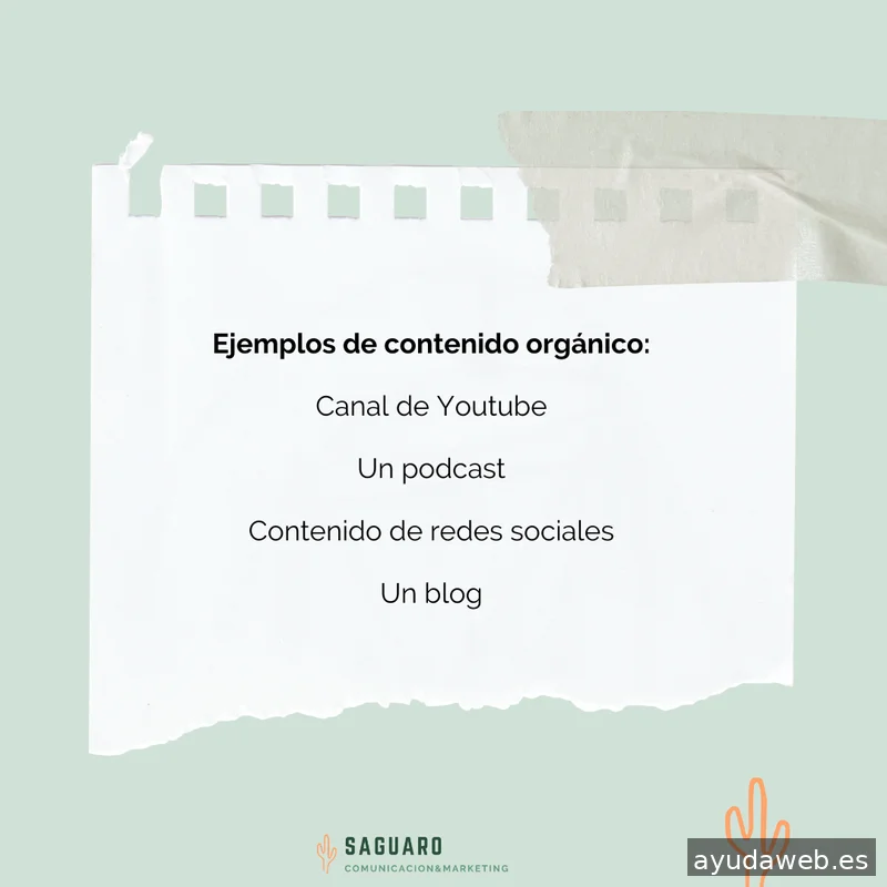 Saguaro Agencia de Marketing