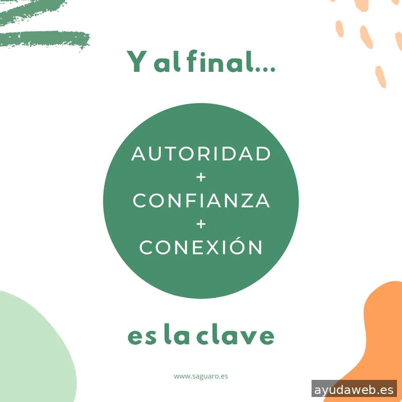 Saguaro Agencia de Marketing