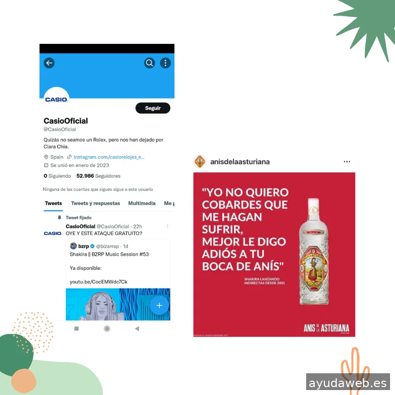 Saguaro Agencia de Marketing