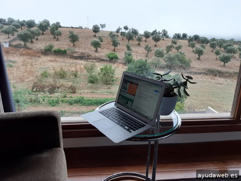 Saguaro Agencia de Marketing