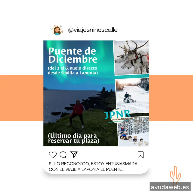 Saguaro Agencia de Marketing