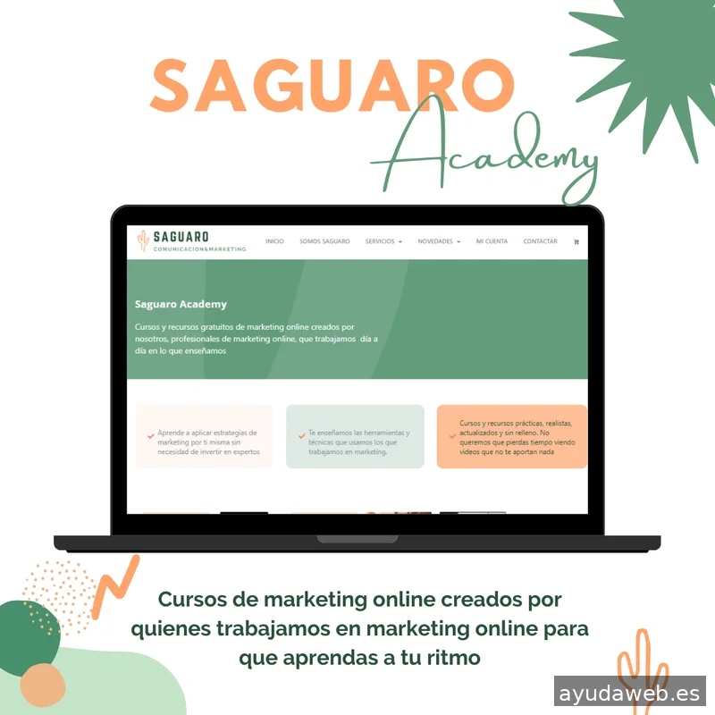 Saguaro Agencia de Marketing