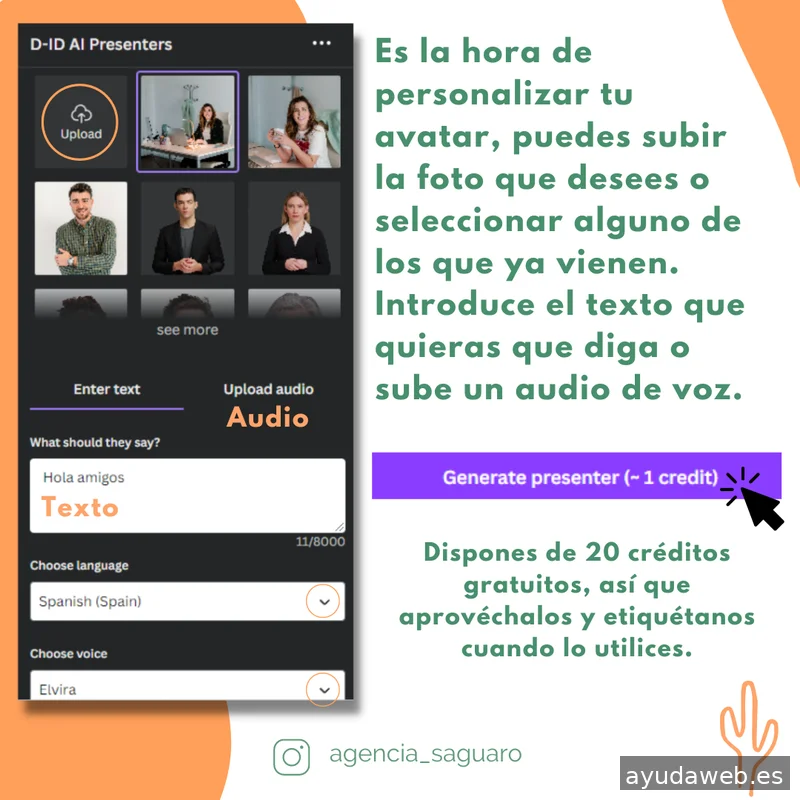 Saguaro Agencia de Marketing