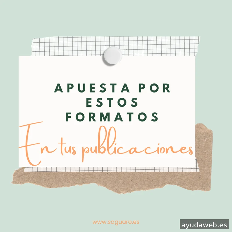 Saguaro Agencia de Marketing