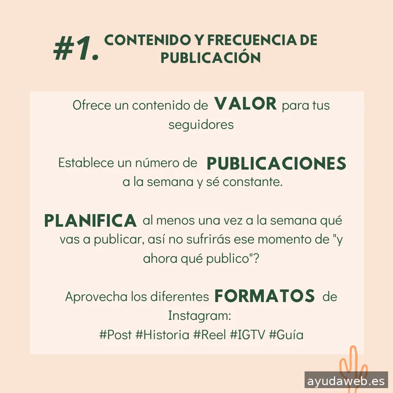 Saguaro Agencia de Marketing