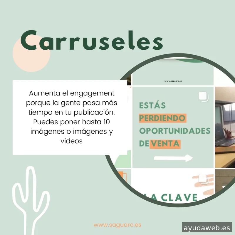 Saguaro Agencia de Marketing