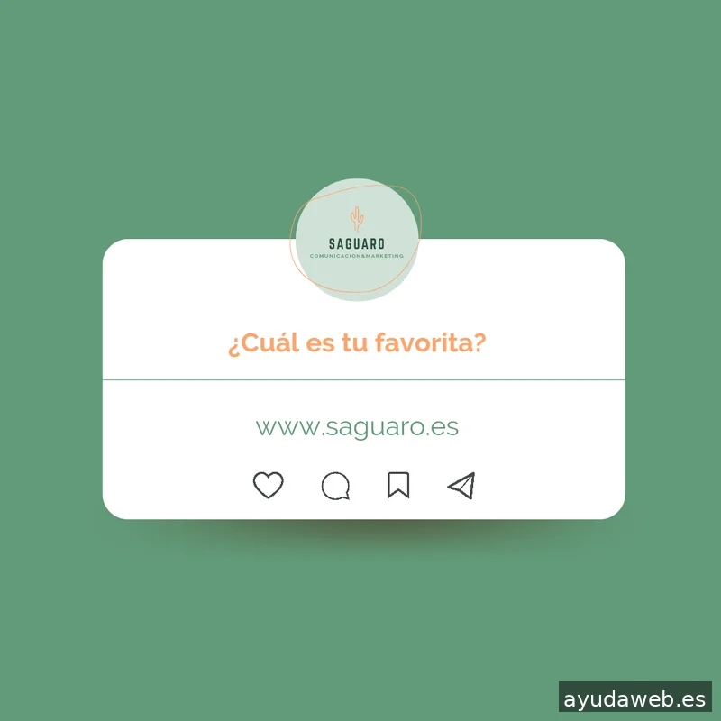 Saguaro Agencia de Marketing