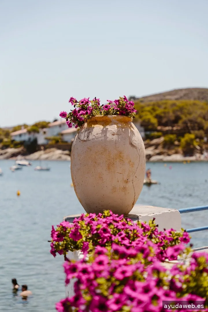 DIGITAL STATE AGENCY | Empresa de Marketing Digital en Figueres